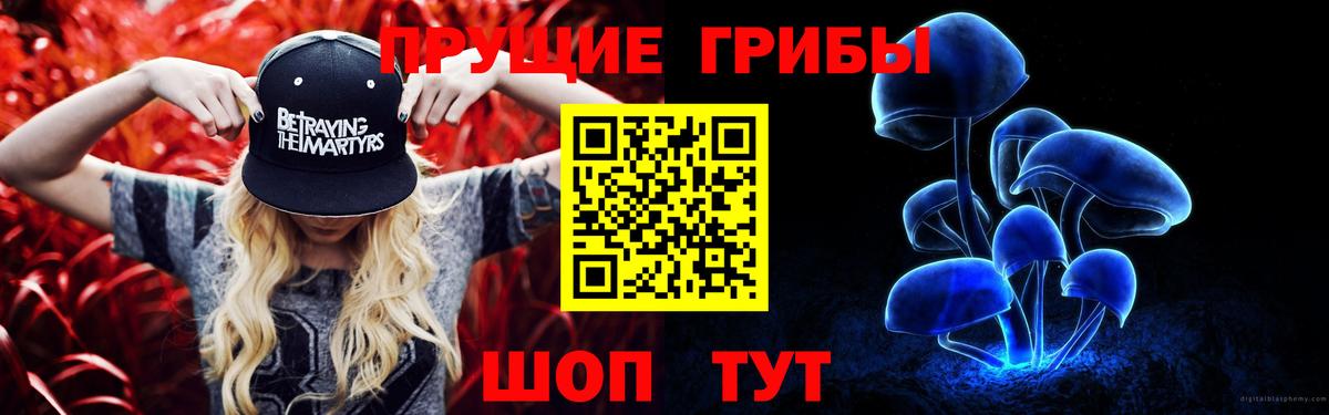 Псилоцибиновые грибы Psilocybine cubensis  Вход с VPN  Назарово  Псилоцибиновые грибы мухоморы 